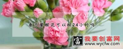 康乃馨醒花可以醒24小时吗