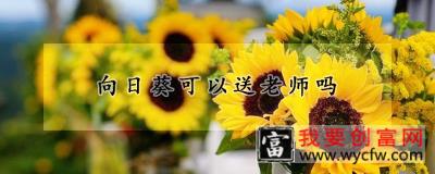 向日葵可以送老师吗