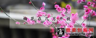 梅花在几月开放