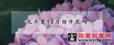 无尽夏10月份开花吗