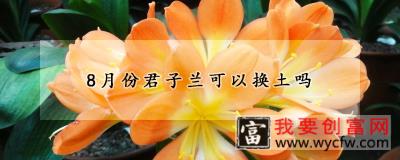 8月份君子兰可以换土吗