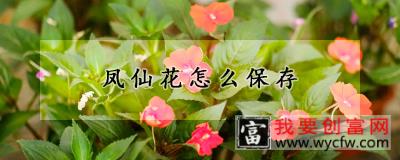 凤仙花怎么保存