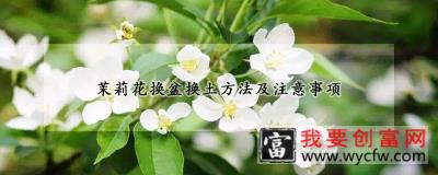 茉莉花换盆换土方法及注意事项