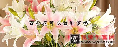 百合花可以放卧室吗