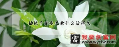 插栀子花水里放什么活得久