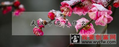 武汉市花是什么