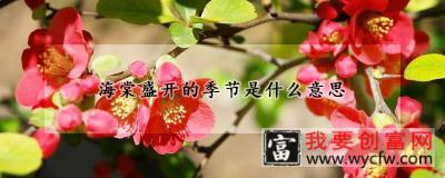 海棠盛开的季节是什么意思