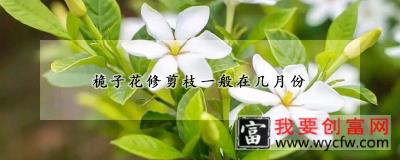 桅子花修剪枝一般在几月份