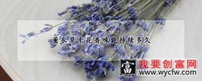 薰衣草干花香味能持续多久