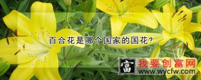 百合花是哪个国家的国花?