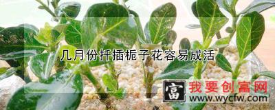 几月份扦插栀子花容易成活