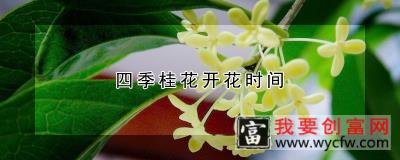 四季桂花开花时间