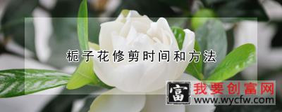 栀子花修剪时间和方法