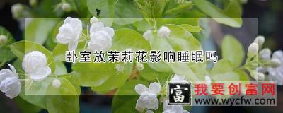 卧室放茉莉花影响睡眠吗