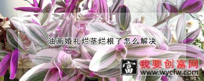 油画婚礼烂茎烂根了怎么解决