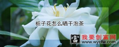 栀子花怎么晒干泡茶