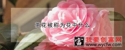 茶花被称为花中什么