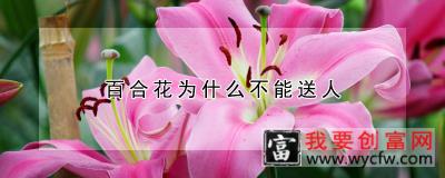 百合花为什么不能送人