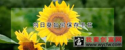 向日葵如何保存干花