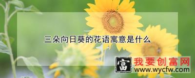 三朵向日葵的花语寓意是什么