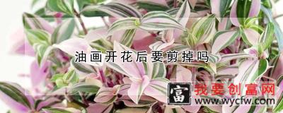 油画开花后要剪掉吗