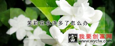 茉莉花水浇多了怎么办