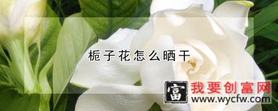 栀子花怎么晒干