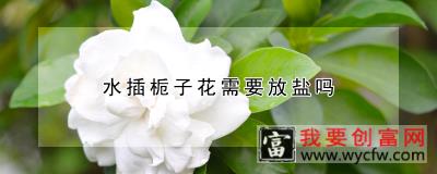 水插栀子花需要放盐吗