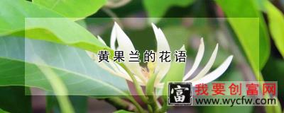 黄果兰的花语