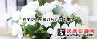 栀子花晚上可以放在卧室里吗