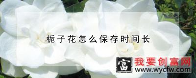 栀子花怎么保存时间长