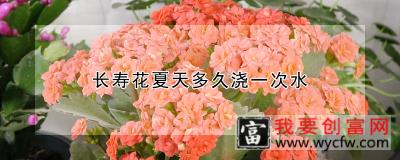 长寿花夏天多久浇一次水