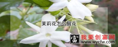 茉莉花怎么醒花