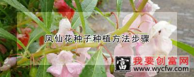 凤仙花种子种植方法步骤