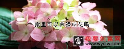 家里可以养绣球花吗