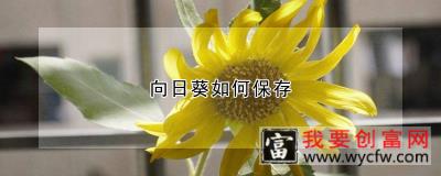 向日葵如何保存