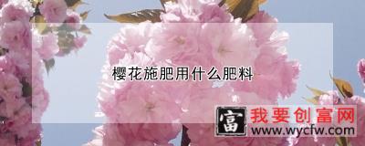 樱花施肥用什么肥料