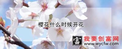 樱花什么时候开花