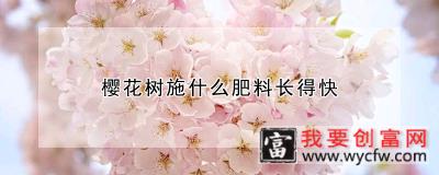 樱花树施什么肥料长得快