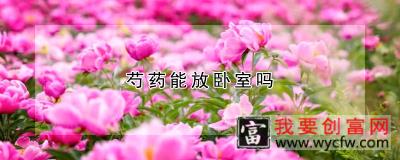 芍药能放卧室吗