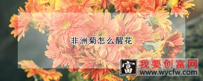 非洲菊怎么醒花