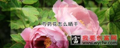 芍药花怎么晒干