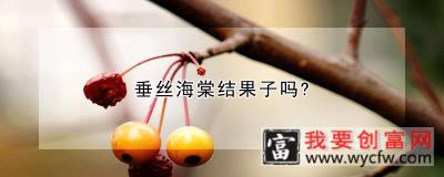 垂丝海棠结果子吗？