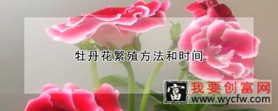 牡丹花繁殖方法和时间