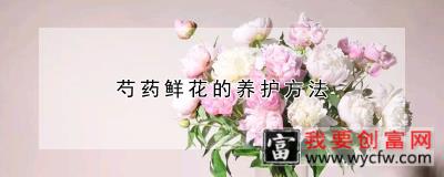 芍药鲜花的养护方法