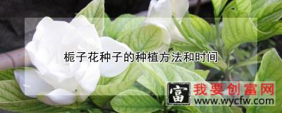 栀子花种子的种植方法和时间