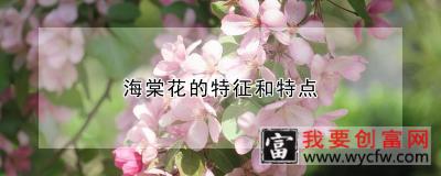 海棠花的特征和特点