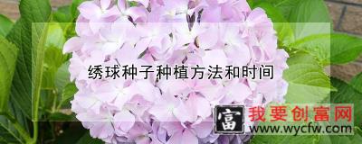 绣球种子种植方法和时间