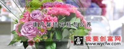 康乃馨插花瓶怎么养