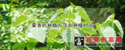 霍香的<a href=https://www.wycfw.com/e/tags/?tagid=232 target=_blank class=infotextkey>种植方法</a>和种植时间